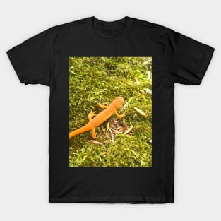 Red Spotted Newt T-Shirt